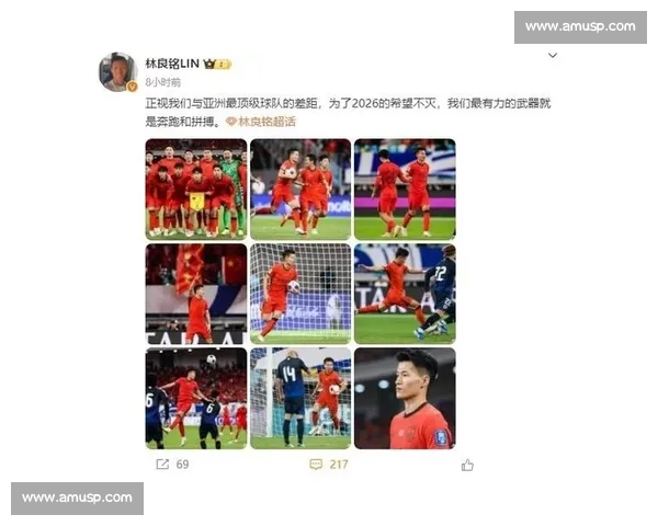 媒体人批国足豪赌酿悲剧:林良铭重伤暴露用人之殇 媒体人批国足豪赌酿悲剧:林良铭重伤暴露用人之殇