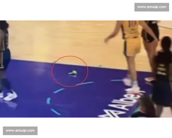 WNBA 赛场再爆假阳具投掷事件,第三次恶性干扰引联盟重拳整顿 WNBA 赛场再爆假阳具投掷事件,第三次恶性干扰引联盟重拳整顿