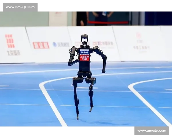 宇树双角色出征 2025 世界人形机器人运动会，引领中国机器人竞技新高度